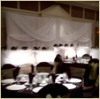 Touch of Elegance Backdrops