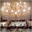 Touch of Elegance Ceiling Canopies