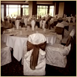Touch of Elegance Chair Covers