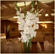 Touch of Elegance Flowers/Centrepieces