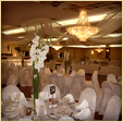 Touch of Elegance Receptions