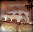 Touch of Elegance Backdrops