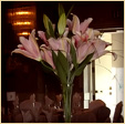 Touch of Elegance Flowers/Centrepieces